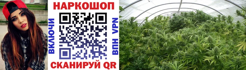 Купить наркотик аптеки Болотное ГАШ  Амфетамин  ТГК  Бошки Шишки  МЕФ 