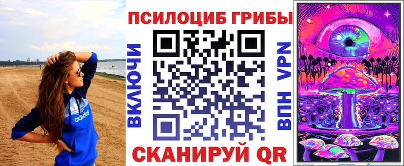 где купить наркоту  Болотное  Галлюциногенные грибы MAGIC MUSHROOMS 